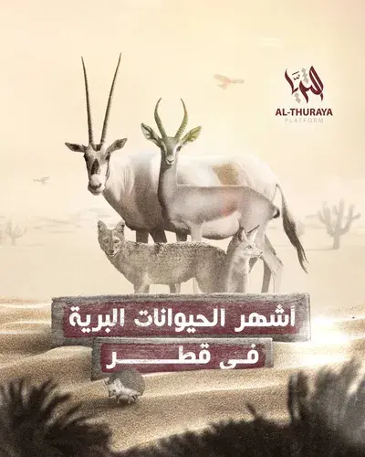 أشهر الحيوانات البرية في قطر